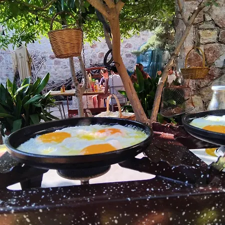 Lucidum Rhodian Hospitality & Gastronomy * Faliraki