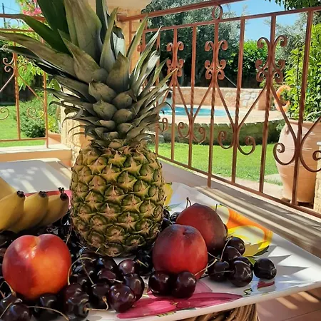 Lucidum Rhodian Hospitality&gastronomy *