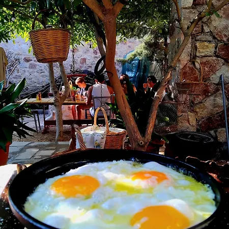 Lucidum Rhodian Hospitality&gastronomy Faliraki