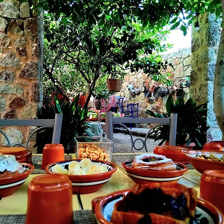 Lucidum Rhodian Hospitality&gastronomy * Faliraki