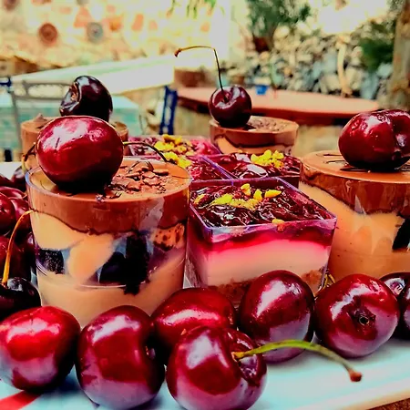 Lucidum Rhodian Hospitality & Gastronomy Willa Faliraki